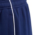 Spodnie adidas Core 18 Sweat Pant Jr CV3958 164cm