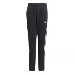 Spodnie adidas Tiro21 Sweat Jr GM7332 152cm